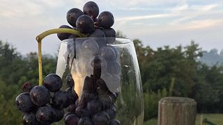 Piedmont Wine Journey at Crotin 1897