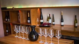 Weingut Scherner-Kleinhanss: A Family Legacy in Rheinhessen