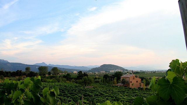 Clos Mesorah Winery