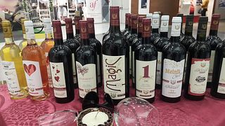 Weinprobe im Family Boutique Winery Kiossev
