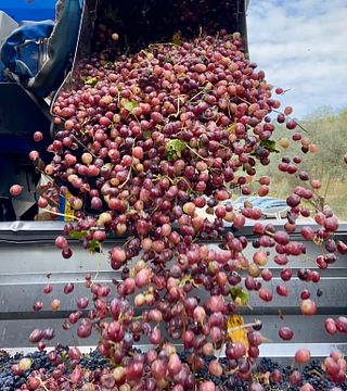 Private Full-Day Wine Tour Arrábida from Lisbon with Tastings