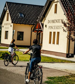 Tour de vinos Gran Selección
