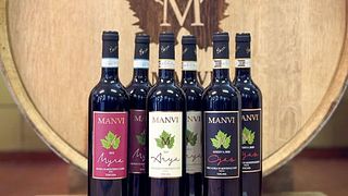 Vino orgánico toscano: cata privada de 3 vinos en Il Quercione by Manvi