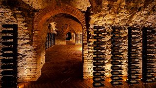 Weinprobe und Tour in Argiano