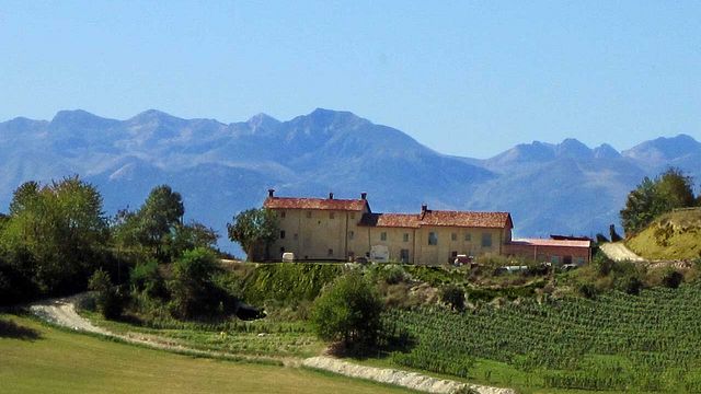 Cascina Corte Winery