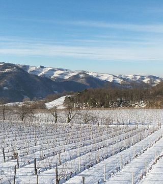 Besuch und Weinprobe im Cà d'Michel