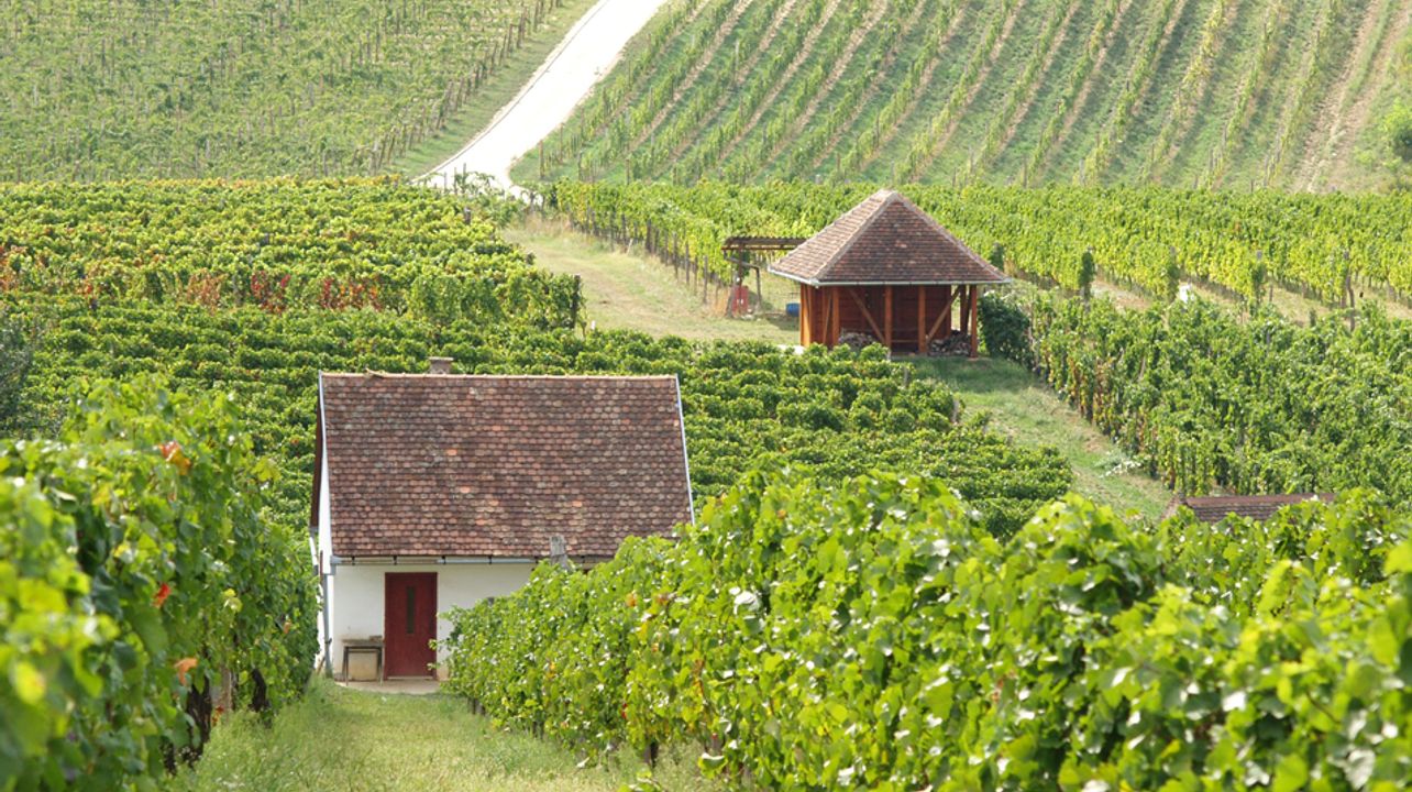 Mokos Winery