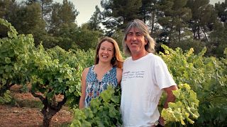 Degustazione e visita presso Carlania Celler