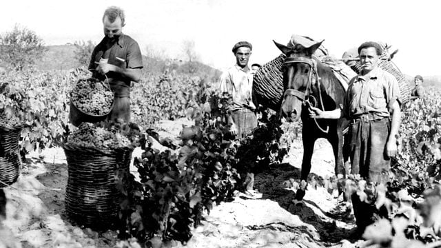 Otto Bestué Winery