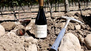 Viña Los Boldos Winery