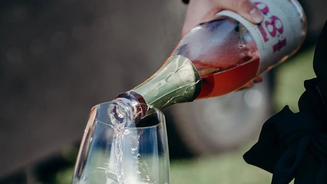Cata de vinos en la bodega 180 Estate
