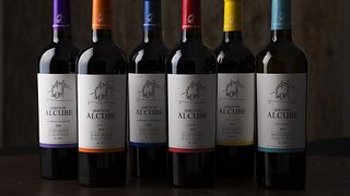 Visite de la cave à vin avec dégustation de vins à Quinta de Alcube