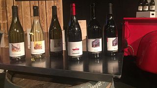 Degustazione e visita della Cantina Favre
