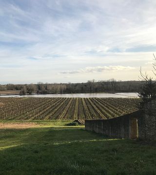 Bordeaux Wine Legacy: Pellé Family Tasting