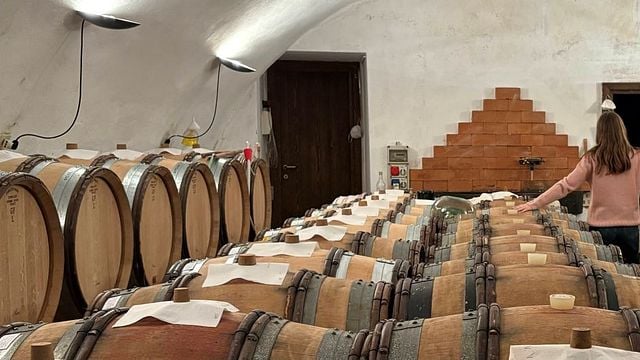 Azienda Agricola Dalzocchio