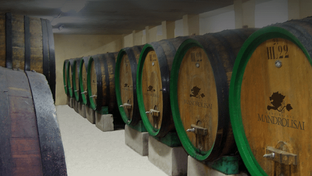 Alla scoperta dei vini del centenario | Cantina del Mandrolisai