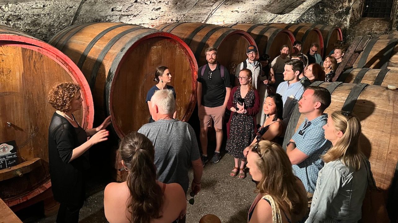 Valpolicella Wine Tour : Visite et dégustation dans 2 caves