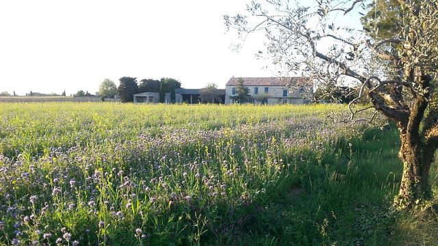 Domaine Corinne Depeyre