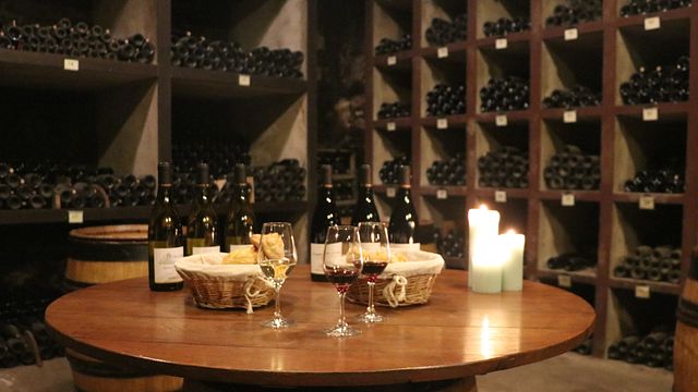 Burgundy Grands Crus & Cellar Tour at Henri de Villamont
