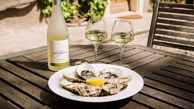 Dégustation et visite de vins au Domaine Saint-Hilaire
