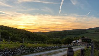 Explore a Tuscan Vineyard with Chianti Classico Tasting