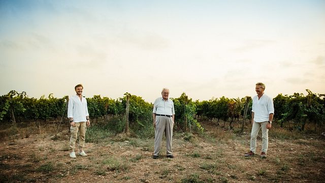 Calitro Winery