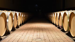 Weinprobe und Besichtigung im Castello del Terriccio