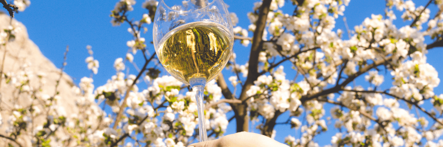 Pignoletto Wine