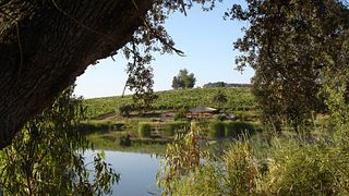 Cata de vinos y visita guiada en Medeiros