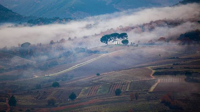 Cantariña Vinos de Familia