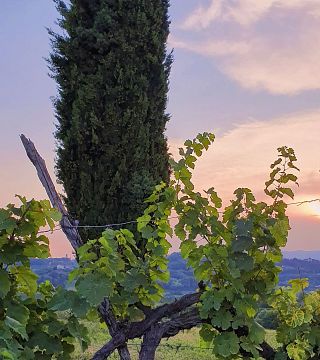 Romantische Abendverkostung mit dem besten Prosecco