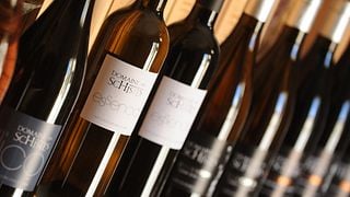 Weinprobe und Führung im Domaine des Schistes