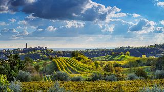Wine Tasting and Tour at Il Colle 1978