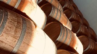 Vinprovning och rundtur på Azienda Vitivinicola Tola