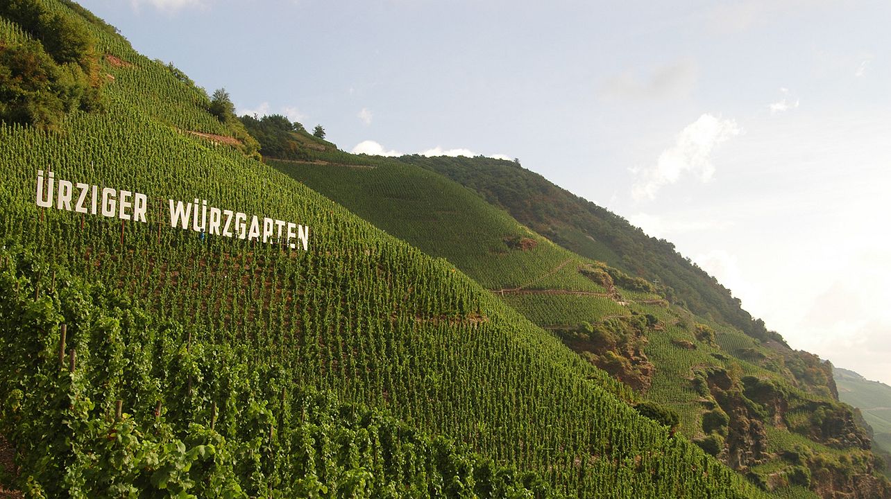 Weingut Mönchhof