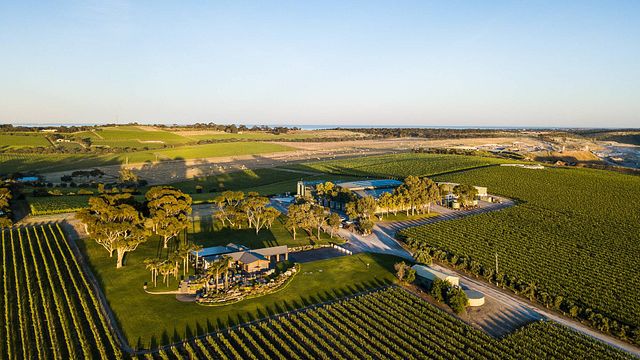 Degustação de vinhos populares na Mollydooker Wines