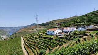 Douro Valley Wine & Heritage Lunch at Quinta dos Poços