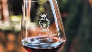EXPÉRIENCE VIN BIO VIP au Domaine Montechiaro