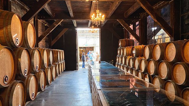 Tour notturno da San Diego alla regione vinicola della Valle de Guadalupe