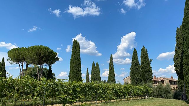 Taste Chianti & Vernaccia on a Tuscan Wine Journey