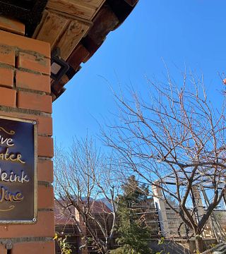 Dégustation de vins et visite du domaine viticole Georgino