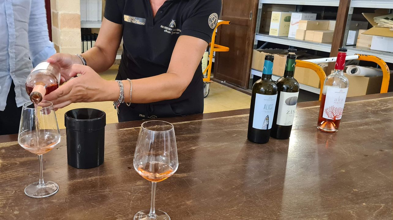 Tour e degustação de vinhos no Produttori Vini di Manduria