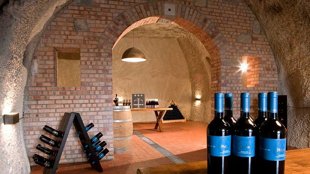 Cata de vinos y visita guiada a Terra dei Re
