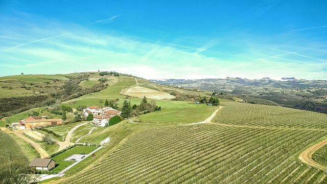 La Collina Dei Ciliegi