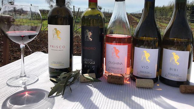 Weinprobe im „Aperitivo-Stil“ mit Blick auf das Meer und Tour bei Etruscaia