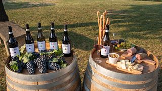 Roero… Y no sólo eso | Cata de vinos en Az.Agr. Battaglino Angelo pQlin