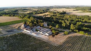 Vineyard tour and wine tasting at Château de Panisseau
