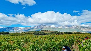 Bodega Gil Berzal de Laguardia S.C.