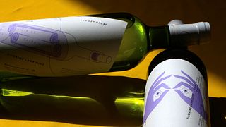Wine Tasting and Tour at Domaine Larroudé