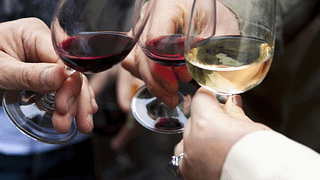 Rioja Wine Journey at Bodegas Horola